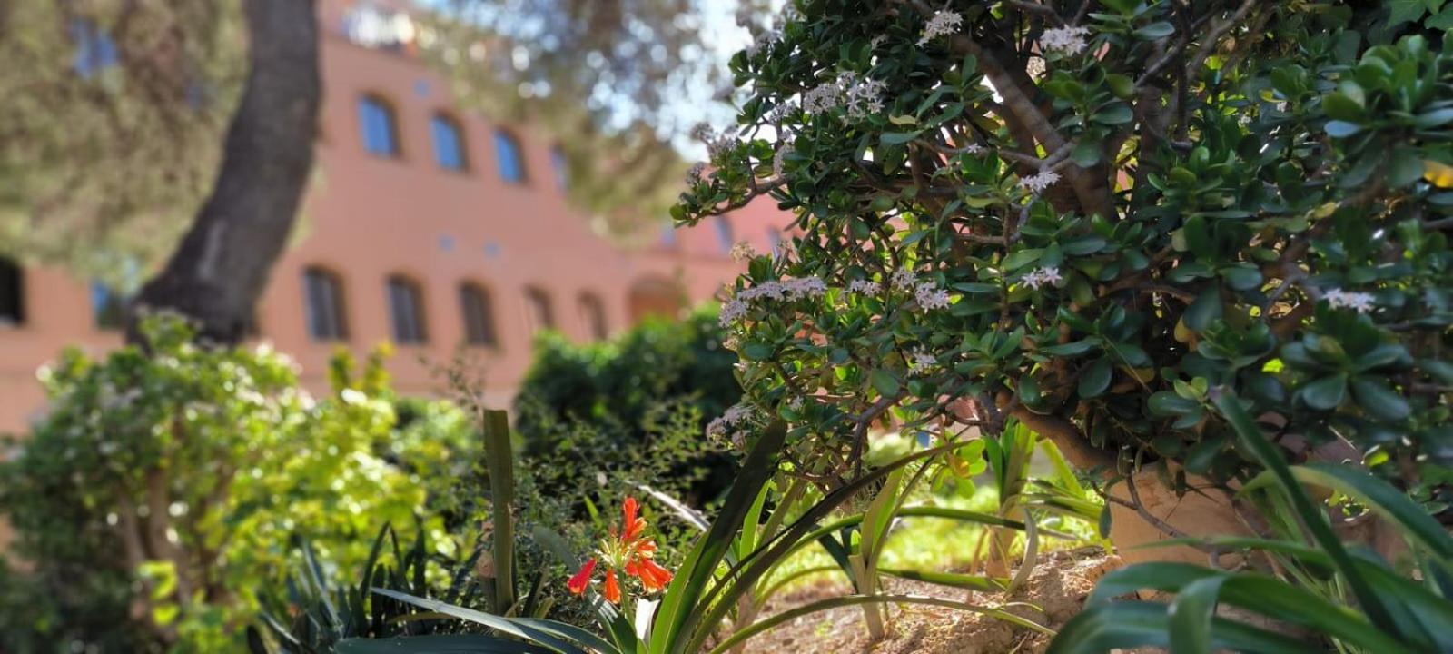 Albergue Rosa Molas Arrabal de Jesus Eksteriør billede